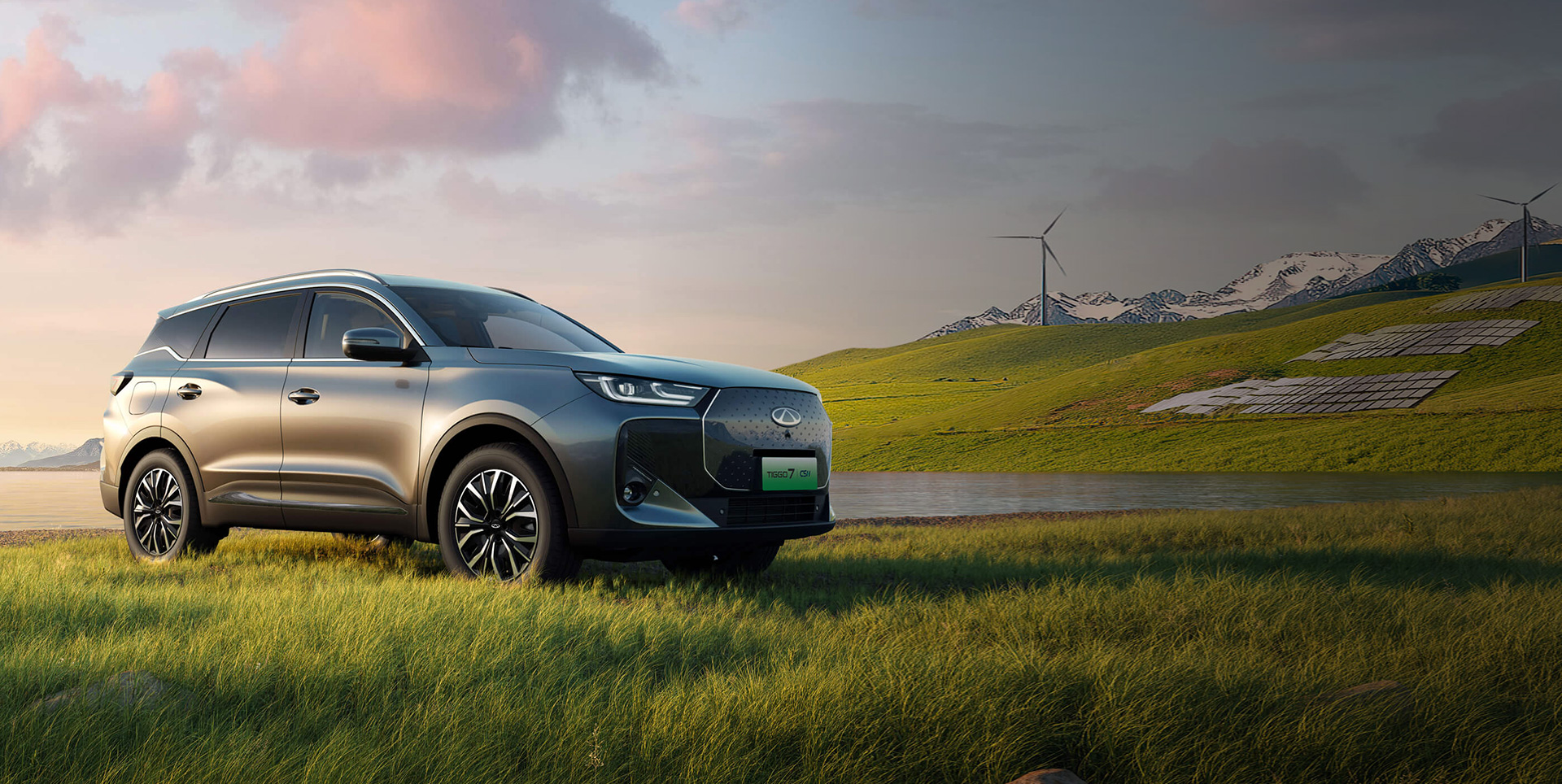 NEV Sales Performance