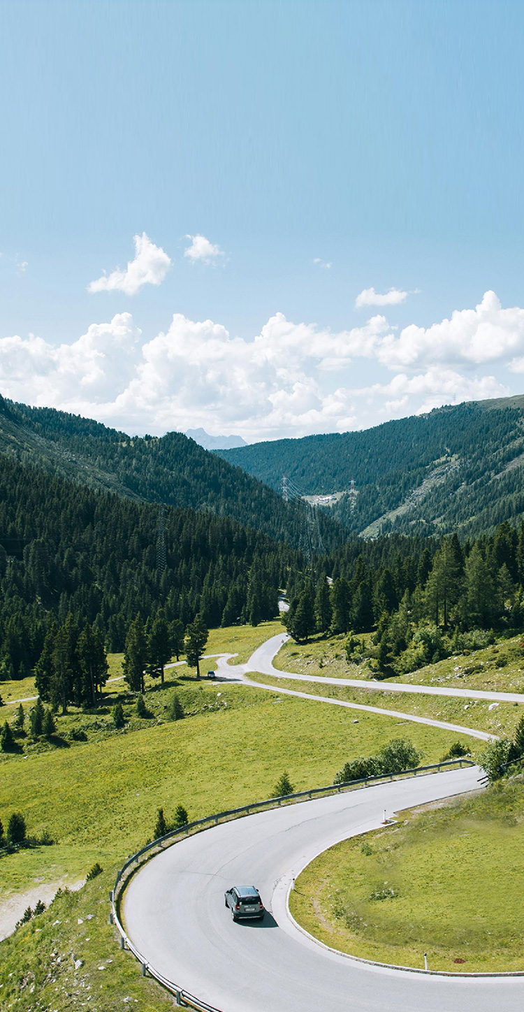 Rural Revitalisation